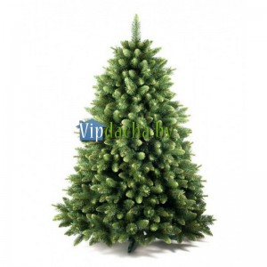 Сосна Молодые побеги Сосна Молодые побеги